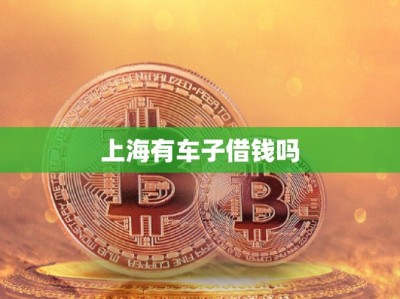 上海有车子借钱吗