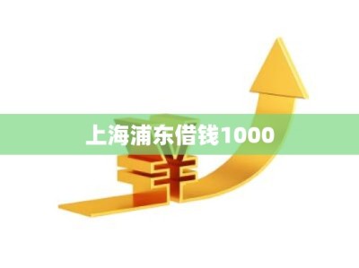 上海浦东借钱1000