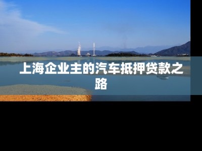 上海企业主的汽车抵押贷款之路