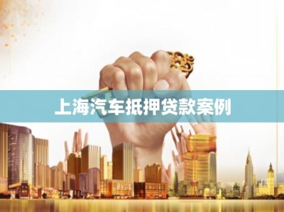 上海汽车抵押贷款案例